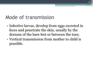 Mode of transmission
• Infective larvae, develop from eggs excreted in
feces and penetrate the skin, usually by the
dorsum of the bare feet or between the toes;
• Vertical transmission from mother to child is
possible.
6
 