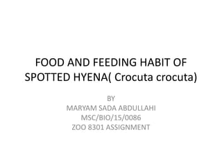 FOOD AND FEEDING HABIT OF
SPOTTED HYENA( Crocuta crocuta)
BY
MARYAM SADA ABDULLAHI
MSC/BIO/15/0086
ZOO 8301 ASSIGNMENT
 
