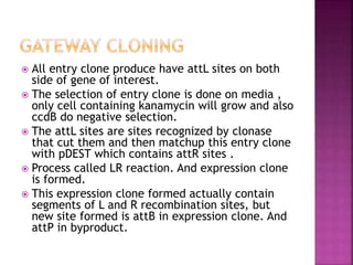  All entry clone produce have attL sites on both
side of gene of interest.
 The selection of entry clone is done on media ,
only cell containing kanamycin will grow and also
ccdB do negative selection.
 The attL sites are sites recognized by clonase
that cut them and then matchup this entry clone
with pDEST which contains attR sites .
 Process called LR reaction. And expression clone
is formed.
 This expression clone formed actually contain
segments of L and R recombination sites, but
new site formed is attB in expression clone. And
attP in byproduct.
 