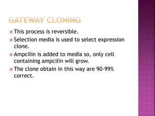  This process is reversible.
 Selection media is used to select expression
clone.
 Ampcilin is added to media so, only cell
containing ampcilin will grow.
 The clone obtain in this way are 90-99%
correct.
 