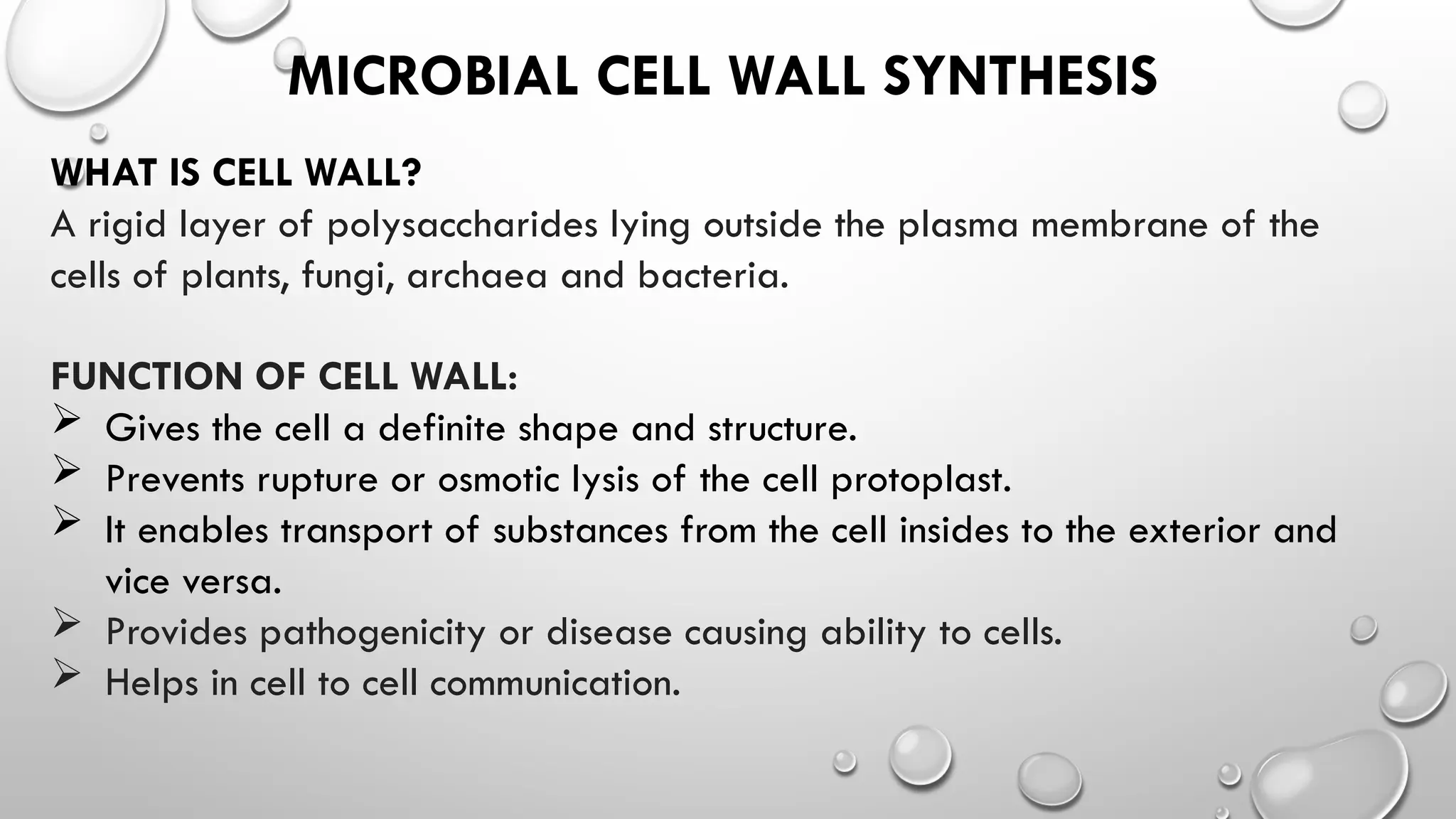 cell morphology and cell wall synthesis localisation... cell wall synthesis of bacterial cell.pptx