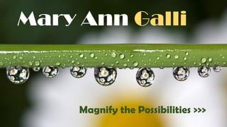 Mary Ann Galli
Magnify the Possibilities >>>
 