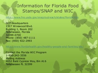 Information for Florida Food
Stamps/SNAP and WIC
http://www.fns.usda.gov/snap/outreach/states/florida.htm
DCF Headquarters
1317 Winewood Blvd.
Building 1, Room 202
Tallahassee, Florida
32399-0700
Phone: (850) 487-1111
Fax: (850) 922-2993
http://www.floridahealth.gov/healthy-people-and-families/wic/
Contact the Florida WIC Program
1-800-342-3556
Mailing Address
4052 Bald Cypress Way, Bin A16
Tallahassee FL 32399

 