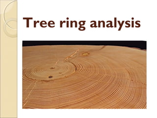 Tree ring analysis
 