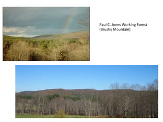 Paul	
  C.	
  Jones	
  Working	
  Forest	
  
(Brushy	
  Mountain)	
  
 