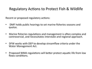 Regulatory	
  Ac0ons	
  to	
  Protect	
  Fish	
  &	
  Wildlife	
  
Recent	
  or	
  proposed	
  regulatory	
  ac0ons:	
  
	
  
•  	
  DMF	
  holds	
  public	
  hearings	
  to	
  set	
  marine	
  ﬁsheries	
  seasons	
  and	
  
quotas.	
  	
  	
  
•  Marine	
  ﬁsheries	
  regula0ons	
  and	
  management	
  is	
  ofen	
  complex	
  and	
  
controversial,	
  and	
  necessitates	
  interstate	
  and	
  regional	
  approach.	
  	
  
•  DFW	
  works	
  with	
  DEP	
  to	
  develop	
  streamﬂow	
  criteria	
  under	
  the	
  
Water	
  Management	
  Act.	
  	
  
•  Proposed	
  WMA	
  regula0ons	
  will	
  beCer	
  protect	
  aqua0c	
  life	
  from	
  low	
  
ﬂows	
  condi0ons.	
  	
  
 