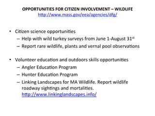 OPPORTUNITIES	
  FOR	
  CITIZEN	
  INVOLVEMENT	
  –	
  WILDLIFE	
  	
  
hCp://www.mass.gov/eea/agencies/dfg/	
  
	
  
•  Ci0zen	
  science	
  opportuni0es	
  
–  Help	
  with	
  wild	
  turkey	
  surveys	
  from	
  June	
  1-­‐August	
  31st	
  	
  
–  Report	
  rare	
  wildlife,	
  plants	
  and	
  vernal	
  pool	
  observa0ons	
  
•  Volunteer	
  educa0on	
  and	
  outdoors	
  skills	
  opportuni0es	
  
–  Angler	
  Educa0on	
  Program	
  
–  Hunter	
  Educa0on	
  Program	
  
–  Linking	
  Landscapes	
  for	
  MA	
  Wildlife.	
  Report	
  wildlife	
  
roadway	
  sigh0ngs	
  and	
  mortali0es.	
  	
  
hCp://www.linkinglandscapes.info/	
  
	
  
 