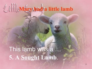 Mary had a little lamb This lamb was a … 5. A   Sought  Lamb . 