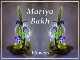 Mariya Bakh Flowers 