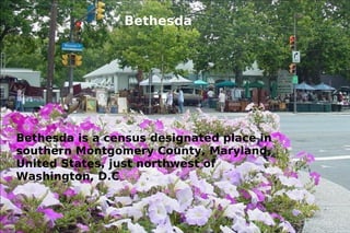 Bethesda is a census designated place in southern Montgomery County, Maryland, United States, just northwest of Washington, D.C Bethesda 