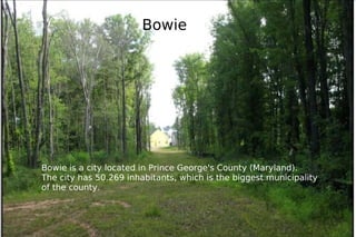 Bowie Bowie is a city located in Prince George's County (Maryland).  The city has 50.269 inhabitants, which is the biggest municipality of the county. 