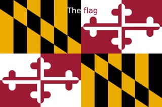 The  flag 