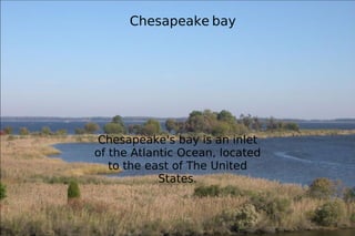 Chesapeake   bay   Chesapeake's bay is an inlet of the Atlantic Ocean, located to the east of The United States. 