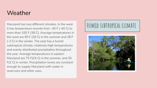 Weather
Maryland has two different climates. In the west
it has temperature records from -40 F (-40 C) to
more than 100 F (38 C). Average temperatures in
the west are 65 F (18 C) in the summer and 28 F
(-2 C) in the winter. The east has a humid
subtropical climate, relatively high temperatures
and evenly distributed precipitation throughout
the year. Average temperatures in eastern
Maryland are 75 F(24 C) in the summer, and 35
F(2 C) in winter. Precipitation levels are constant
enough to supply Maryland with water in
reservoirs and other uses.
Humid subtropical climate
 