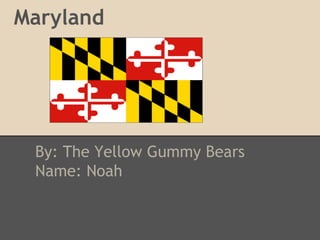 Maryland




 By: The Yellow Gummy Bears
 Name: Noah
 
