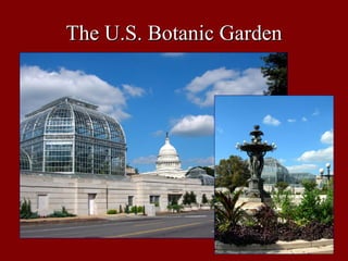 The U.S. Botanic Garden
 