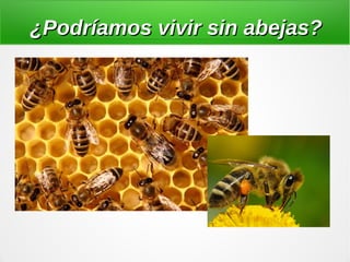 ¿Podríamos vivir sin abejas?¿Podríamos vivir sin abejas?
 
