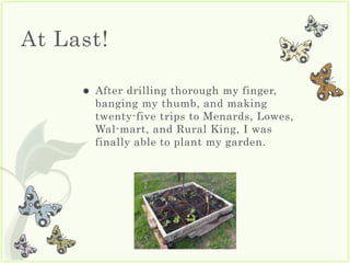 planting bolsas lowes