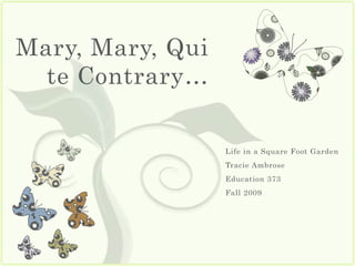 Mary, Mary, Quite Contrary… Life in a Square Foot Garden Tracie Ambrose Education 373 Fall 2009 
