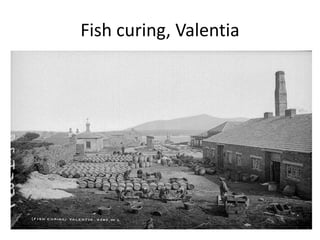 25/4/00 re: Valentia, Kerry
• ‘… alive with the business and very good
wages are paid to all employed in boxing
and removi...