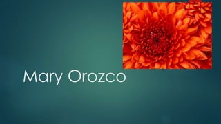Mary Orozco 
