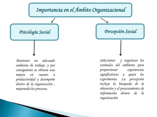 Importancia en el Ámbito Organizacional


  Psicología Social                         Percepción Social




Mantener un adecuado                     Seleccionar y organizar los
ambiente de trabajo, y por               estímulos del ambiente para
consiguiente se obtiene una              proporcionar        experiencias
mejora en cuanto a                       significativas a quien los
productividad y desempeño                experimenta. La percepción
dentro de la organización ,              incluye la búsqueda de la
mejorando los procesos.                  obtención y el procesamiento de
                                         información dentro de la
                                         organización
 