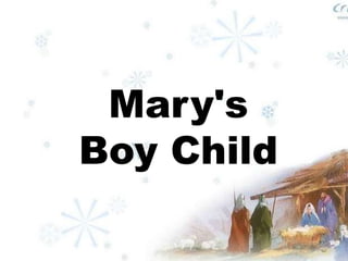 Mary's 
Boy Child 
 