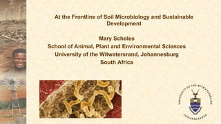 At the Frontline of Soil Microbiology and Sustainable
Development
Mary Scholes
School of Animal, Plant and Environmental Sciences
University of the Witwatersrand, Johannesburg
South Africa
 
