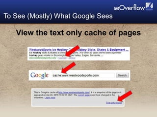 View the text only cache of pages To See (Mostly) What Google Sees 