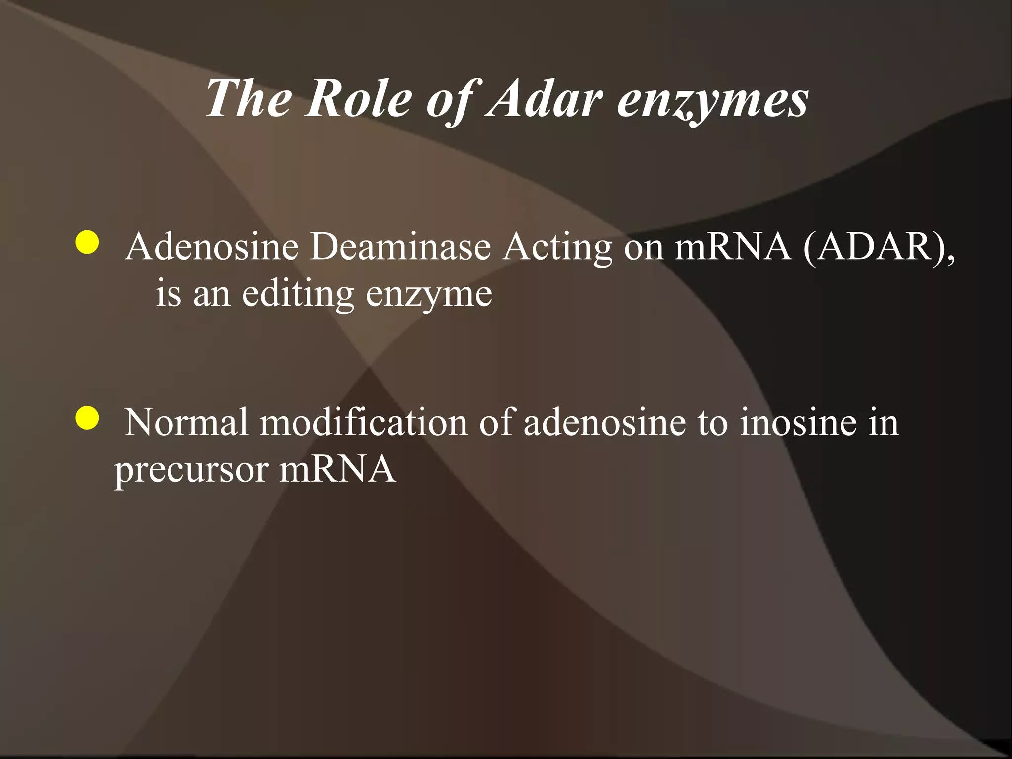 Create Adar ADAR Enzyme's proposal | PPT