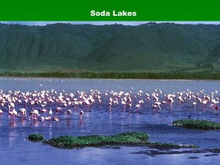 Soda Lakes 