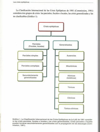 Marzia elsa   crisis-epilepticas