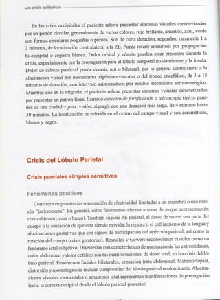 Marzia elsa   crisis-epilepticas