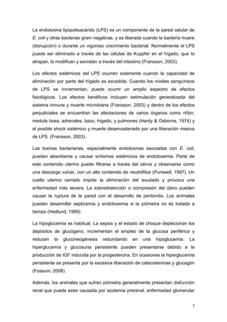 7
La endotoxina lipopolisacárido (LPS) es un componente de la pared celular de
E. coli y otras bacterias gram negativas, y es liberada cuando la bacteria muere
(disrupción) o durante un vigoroso crecimiento bacterial. Normalmente el LPS
puede ser eliminado a través de las células de Kuppfer en el hígado, que lo
atrapan, lo modifican y excretan a través del intestino (Fransson, 2003).
Los efectos sistémicos del LPS ocurren solamente cuando la capacidad de
eliminación por parte del hígado es excedida. Cuando los niveles sanguíneos
de LPS se incrementan, puede ocurrir un amplio espectro de efectos
fisiológicos. Los efectos benéficos incluyen estimulación generalizada del
sistema inmune y muerte microbiana (Fransson, 2003) y dentro de los efectos
perjudiciales se encuentran las afectaciones de varios órganos como riñón,
medula ósea, adrenales, bazo, hígado, y pulmones (Hardy & Osborne, 1974) y
el posible shock sistémico y muerte desencadenado por una liberación masiva
de LPS (Fransson, 2003).
Las toxinas bacterianas, especialmente endotoxinas asociadas con E. coli,
pueden absorberse y causar síntomas sistémicos de endotoxemia. Parte de
este contenido uterino puede filtrarse a través del cérvix y observarse como
una descarga vulvar, con un alto contenido de neutrófilos (Purswell, 1997). Un
cuello uterino cerrado impide la eliminación del exudado y provoca una
enfermedad más severa. La sobredistención o compresión del útero pueden
causar la ruptura de la pared con el desarrollo de peritonitis. Los animales
pueden desarrollar septicemia y endotoxemia si la piómetra no es tratada a
tiempo (Hedlund, 1999).
La hipoglucemia es habitual. La sepsis y el estado de choque deplecionan los
depósitos de glucógeno, incrementan el empleo de la glucosa periférica y
reducen la gluconeogénesis redundando en una hipoglucemia. La
hiperglucemia y glucosuria persistente pueden presentarse debido a la
producción de IGF inducida por la progesterona. En ocasiones la hiperglucemia
persistente se presenta por la excesiva liberación de catecolaminas y glucagón
(Fossum, 2008).
Además, los animales que sufren piómetra generalmente presentan disfunción
renal que puede estar causada por azotemia prerenal, enfermedad glomerular
 