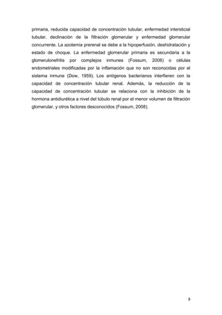 8
primaria, reducida capacidad de concentración tubular, enfermedad intersticial
tubular, declinación de la filtración glomerular y enfermedad glomerular
concurrente. La azotemia prerenal se debe a la hipoperfusión, deshidratación y
estado de choque. La enfermedad glomerular primaria es secundaria a la
glomerulonefritis por complejos inmunes (Fossum, 2008) o células
endometriales modificadas por la inflamación que no son reconocidas por el
sistema inmune (Dow, 1959). Los antígenos bacterianos interfieren con la
capacidad de concentración tubular renal. Además, la reducción de la
capacidad de concentración tubular se relaciona con la inhibición de la
hormona antidiurética a nivel del túbulo renal por el menor volumen de filtración
glomerular, y otros factores desconocidos (Fossum, 2008).
 