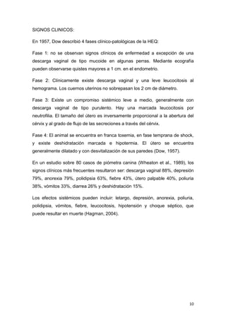 10
SIGNOS CLINICOS:
En 1957, Dow describió 4 fases clínico-patológicas de la HEQ:
Fase 1: no se observan signos clínicos de enfermedad a excepción de una
descarga vaginal de tipo mucoide en algunas perras. Mediante ecografía
pueden observarse quistes mayores a 1 cm. en el endometrio.
Fase 2: Clínicamente existe descarga vaginal y una leve leucocitosis al
hemograma. Los cuernos uterinos no sobrepasan los 2 cm de diámetro.
Fase 3: Existe un compromiso sistémico leve a medio, generalmente con
descarga vaginal de tipo purulento. Hay una marcada leucocitosis por
neutrofilia. El tamaño del útero es inversamente proporcional a la abertura del
cérvix y al grado de flujo de las secreciones a través del cérvix.
Fase 4: El animal se encuentra en franca toxemia, en fase temprana de shock,
y existe deshidratación marcada e hipotermia. El útero se encuentra
generalmente dilatado y con desvitalización de sus paredes (Dow, 1957).
En un estudio sobre 80 casos de piómetra canina (Wheaton et al., 1989), los
signos clínicos más frecuentes resultaron ser: descarga vaginal 88%, depresión
79%, anorexia 79%, polidipsia 63%, fiebre 43%, útero palpable 40%, poliuria
38%, vómitos 33%, diarrea 26% y deshidratación 15%.
Los efectos sistémicos pueden incluir: letargo, depresión, anorexia, poliuria,
polidipsia, vómitos, fiebre, leucocitosis, hipotensión y choque séptico, que
puede resultar en muerte (Hagman, 2004).
 