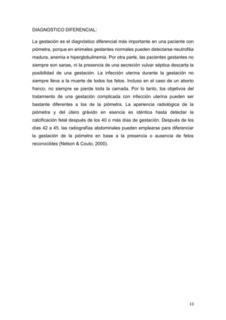 13
DIAGNOSTICO DIFERENCIAL:
La gestación es el diagnóstico diferencial más importante en una paciente con
piómetra, porque en animales gestantes normales pueden detectarse neutrofilia
madura, anemia e hiperglobulinemia. Por otra parte, las pacientes gestantes no
siempre son sanas, ni la presencia de una secreción vulvar séptica descarta la
posibilidad de una gestación. La infección uterina durante la gestación no
siempre lleva a la muerte de todos los fetos. Incluso en el caso de un aborto
franco, no siempre se pierde toda la camada. Por lo tanto, los objetivos del
tratamiento de una gestación complicada con infección uterina pueden ser
bastante diferentes a los de la piómetra. La apariencia radiológica de la
piómetra y del útero grávido en esencia es idéntica hasta detectar la
calcificación fetal después de los 40 o más días de gestación. Después de los
días 42 a 45, las radiografías abdominales pueden emplearse para diferenciar
la gestación de la piómetra en base a la presencia o ausencia de fetos
reconocibles (Nelson & Couto, 2000).
 