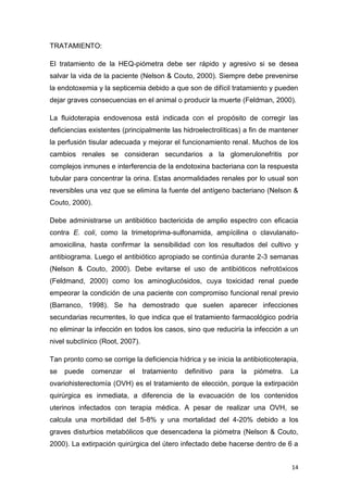 14
TRATAMIENTO:
El tratamiento de la HEQ-piómetra debe ser rápido y agresivo si se desea
salvar la vida de la paciente (Nelson & Couto, 2000). Siempre debe prevenirse
la endotoxemia y la septicemia debido a que son de difícil tratamiento y pueden
dejar graves consecuencias en el animal o producir la muerte (Feldman, 2000).
La fluidoterapia endovenosa está indicada con el propósito de corregir las
deficiencias existentes (principalmente las hidroelectrolíticas) a fin de mantener
la perfusión tisular adecuada y mejorar el funcionamiento renal. Muchos de los
cambios renales se consideran secundarios a la glomerulonefritis por
complejos inmunes e interferencia de la endotoxina bacteriana con la respuesta
tubular para concentrar la orina. Estas anormalidades renales por lo usual son
reversibles una vez que se elimina la fuente del antígeno bacteriano (Nelson &
Couto, 2000).
Debe administrarse un antibiótico bactericida de amplio espectro con eficacia
contra E. coli, como la trimetoprima-sulfonamida, ampícilina o clavulanato-
amoxicilina, hasta confirmar la sensibilidad con los resultados del cultivo y
antibiograma. Luego el antibiótico apropiado se continúa durante 2-3 semanas
(Nelson & Couto, 2000). Debe evitarse el uso de antibióticos nefrotóxicos
(Feldmand, 2000) como los aminoglucósidos, cuya toxicidad renal puede
empeorar la condición de una paciente con compromiso funcional renal previo
(Barranco, 1998). Se ha demostrado que suelen aparecer infecciones
secundarias recurrentes, lo que indica que el tratamiento farmacológico podría
no eliminar la infección en todos los casos, sino que reduciría la infección a un
nivel subclínico (Root, 2007).
Tan pronto como se corrige la deficiencia hídrica y se inicia la antibioticoterapia,
se puede comenzar el tratamiento definitivo para la piómetra. La
ovariohisterectomía (OVH) es el tratamiento de elección, porque la extirpación
quirúrgica es inmediata, a diferencia de la evacuación de los contenidos
uterinos infectados con terapia médica. A pesar de realizar una OVH, se
calcula una morbilidad del 5-8% y una mortalidad del 4-20% debido a los
graves disturbios metabólicos que desencadena la piómetra (Nelson & Couto,
2000). La extirpación quirúrgica del útero infectado debe hacerse dentro de 6 a
 