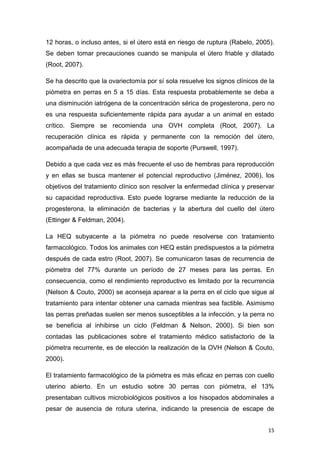 15
12 horas, o incluso antes, si el útero está en riesgo de ruptura (Rabelo, 2005).
Se deben tomar precauciones cuando se manipula el útero friable y dilatado
(Root, 2007).
Se ha descrito que la ovariectomía por sí sola resuelve los signos clínicos de la
piómetra en perras en 5 a 15 días. Esta respuesta probablemente se deba a
una disminución iatrógena de la concentración sérica de progesterona, pero no
es una respuesta suficientemente rápida para ayudar a un animal en estado
crítico. Siempre se recomienda una OVH completa (Root, 2007). La
recuperación clínica es rápida y permanente con la remoción del útero,
acompañada de una adecuada terapia de soporte (Purswell, 1997).
Debido a que cada vez es más frecuente el uso de hembras para reproducción
y en ellas se busca mantener el potencial reproductivo (Jiménez, 2006), los
objetivos del tratamiento clínico son resolver la enfermedad clínica y preservar
su capacidad reproductiva. Esto puede lograrse mediante la reducción de la
progesterona, la eliminación de bacterias y la abertura del cuello del útero
(Ettinger & Feldman, 2004).
La HEQ subyacente a la piómetra no puede resolverse con tratamiento
farmacológico. Todos los animales con HEQ están predispuestos a la piómetra
después de cada estro (Root, 2007). Se comunicaron tasas de recurrencia de
piómetra del 77% durante un período de 27 meses para las perras. En
consecuencia, como el rendimiento reproductivo es limitado por la recurrencia
(Nelson & Couto, 2000) se aconseja aparear a la perra en el ciclo que sigue al
tratamiento para intentar obtener una camada mientras sea factible. Asimismo
las perras preñadas suelen ser menos susceptibles a la infección, y la perra no
se beneficia al inhibirse un ciclo (Feldman & Nelson, 2000). Si bien son
contadas las publicaciones sobre el tratamiento médico satisfactorio de la
piómetra recurrente, es de elección la realización de la OVH (Nelson & Couto,
2000).
El tratamiento farmacológico de la piómetra es más eficaz en perras con cuello
uterino abierto. En un estudio sobre 30 perras con piómetra, el 13%
presentaban cultivos microbiológicos positivos a los hisopados abdominales a
pesar de ausencia de rotura uterina, indicando la presencia de escape de
 