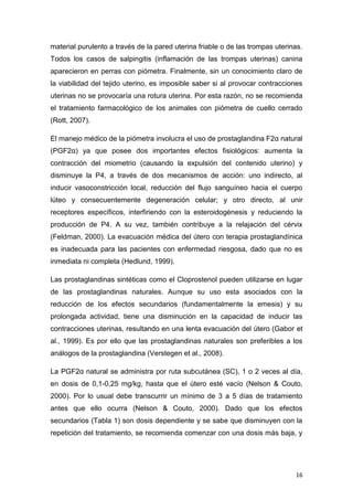 16
material purulento a través de la pared uterina friable o de las trompas uterinas.
Todos los casos de salpingitis (inflamación de las trompas uterinas) canina
aparecieron en perras con piómetra. Finalmente, sin un conocimiento claro de
la viabilidad del tejido uterino, es imposible saber si al provocar contracciones
uterinas no se provocaría una rotura uterina. Por esta razón, no se recomienda
el tratamiento farmacológico de los animales con piómetra de cuello cerrado
(Rott, 2007).
El manejo médico de la piómetra involucra el uso de prostaglandina F2α natural
(PGF2α) ya que posee dos importantes efectos fisiológicos: aumenta la
contracción del miometrio (causando la expulsión del contenido uterino) y
disminuye la P4, a través de dos mecanismos de acción: uno indirecto, al
inducir vasoconstricción local, reducción del flujo sanguíneo hacia el cuerpo
lúteo y consecuentemente degeneración celular; y otro directo, al unir
receptores específicos, interfiriendo con la esteroidogénesis y reduciendo la
producción de P4. A su vez, también contribuye a la relajación del cérvix
(Feldman, 2000). La evacuación médica del útero con terapia prostaglandínica
es inadecuada para las pacientes con enfermedad riesgosa, dado que no es
inmediata ni completa (Hedlund, 1999).
Las prostaglandinas sintéticas como el Cloprostenol pueden utilizarse en lugar
de las prostaglandinas naturales. Aunque su uso esta asociados con la
reducción de los efectos secundarios (fundamentalmente la emesis) y su
prolongada actividad, tiene una disminución en la capacidad de inducir las
contracciones uterinas, resultando en una lenta evacuación del útero (Gabor et
al., 1999). Es por ello que las prostaglandinas naturales son preferibles a los
análogos de la prostaglandina (Verstegen et al., 2008).
La PGF2α natural se administra por ruta subcutánea (SC), 1 o 2 veces al día,
en dosis de 0,1-0,25 mg/kg, hasta que el útero esté vacío (Nelson & Couto,
2000). Por lo usual debe transcurrir un mínimo de 3 a 5 días de tratamiento
antes que ello ocurra (Nelson & Couto, 2000). Dado que los efectos
secundarios (Tabla 1) son dosis dependiente y se sabe que disminuyen con la
repetición del tratamiento, se recomienda comenzar con una dosis más baja, y
 