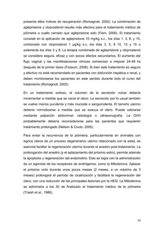 19
presenta altos índices de recuperación (Romagnoli, 2002). La combinación de
aglepristone y cloprostenol resulta más efectiva para el tratamiento médico de
piómetra a cuello cerrado que aglepristone solo (Fieni, 2006). El tratamiento
consiste en la aplicación de aglepristone 10 mg/kg s.c., los días 1, 3, 8, y 15,
combinado con cloprostenol 1 µg/kg s.c, los días 3, 5, 8 10, 12 y 15 o
solamente los días 3 y 8. La terapia combinada de aglepristone y cloprostenol
se considera segura, eficaz y con pocos efectos secundarios. El aumento del
flujo vaginal y las manifestaciones clínicas comienzan a mejorar 24-48 hs
después de la primer dosis (Fossum, 2008). Si bien este tratamiento es seguro
y efectivo no está recomendado en pacientes con disfunción hepática o renal, y
deben monitorearse los pacientes en este sentido durante todo el curso del
tratamiento (Romagnoli, 2002).
En un tratamiento exitoso, el volumen de la secreción vulvar debería
incrementar a medida que se vacía el útero. La secreción por lo usual también
se vuelve menos purulenta y más mucoide o sanguinolenta. El tamaño uterino
debería normalizarse a medida que se evacua el útero. Puede valorarse
mediante palpación abdominal, radiología o ultrasonografía. La OVH
probablemente debería reconsiderarse para las pacientes que requieren
tratamiento prolongado (Nelson & Couto, 2000).
Para evitar la recurrencia de la piómetra, particularmente en animales con
signos claros de un proceso degenerativo uterino relacionado con la edad, es
esencial facilitar la regeneración uterina durante el anestro post-tratamiento. La
prolongación del anestro (y el aplazamiento del próximo estro), permite además
la apoptosis y regeneración del endometrio. Esto se logra con la administración
de un agonista de los receptores de andrógenos, como la Mibolerona. Aplazar
el próximo ciclo durante unos pocos meses (2 meses, a un máximo de 3
meses) prolongará el período de cicatrización y facilitará la regeneración del
útero, con una reducción de las principales lesiones por la HEQ. La Mibolerona
se administra a los 30 de finalizado el tratamiento médico de la piómetra
(Traish et al., 1986).
 
