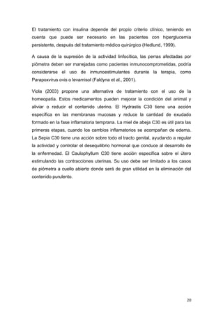 20
El tratamiento con insulina depende del propio criterio clínico, teniendo en
cuenta que puede ser necesario en las pacientes con hiperglucemia
persistente, después del tratamiento médico quirúrgico (Hedlund, 1999).
A causa de la supresión de la actividad linfocítica, las perras afectadas por
piómetra deben ser manejadas como pacientes inmunocomprometidas, podría
considerarse el uso de inmunoestimulantes durante la terapia, como
Parapoxvirus ovis o levamisol (Faldyna et al., 2001).
Viola (2003) propone una alternativa de tratamiento con el uso de la
homeopatía. Estos medicamentos pueden mejorar la condición del animal y
aliviar o reducir el contenido uterino. El Hydrastis C30 tiene una acción
específica en las membranas mucosas y reduce la cantidad de exudado
formado en la fase inflamatoria temprana. La miel de abeja C30 es útil para las
primeras etapas, cuando los cambios inflamatorios se acompañan de edema.
La Sepia C30 tiene una acción sobre todo el tracto genital, ayudando a regular
la actividad y controlar el desequilibrio hormonal que conduce al desarrollo de
la enfermedad. El Caulophyllum C30 tiene acción específica sobre el útero
estimulando las contracciones uterinas. Su uso debe ser limitado a los casos
de piómetra a cuello abierto donde será de gran utilidad en la eliminación del
contenido purulento.
 