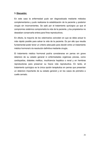 25
3. Discusión:
En este caso la enfermedad pudo ser diagnosticada mediante métodos
complementarios y pudo realizarse la estabilización de la paciente y posterior
cirugía sin inconvenientes. Se optó por el tratamiento quirúrgico ya que el
compromiso sistémico comprometía la vida de la paciente, y los propietarios no
deseaban conservarla entera para fines reproductivos.
En efecto, la mayoría de los veterinarios coinciden en que se debe actuar lo
más rápido posible para salvar la vida de la paciente. Es por ello que resulta
fundamental poder tener un criterio adecuado para decidir entre un tratamiento
médico hormonal o la resolución definitiva mediante cirugía.
El tratamiento médico hormonal podría considerarse en perras sin grave
deterioro de su estado general ni enfermedades orgánicas previas, como
cardiopatías, diabetes mellitus, insuficiencia hepática o renal y en hembras
reproductoras para preservar su futura vida reproductiva. En tanto, el
tratamiento quirúrgico es la única opción terapéutica en perras que presentan
un deterioro importante de su estado general y en los casos de piómetra a
cuello cerrado.
 