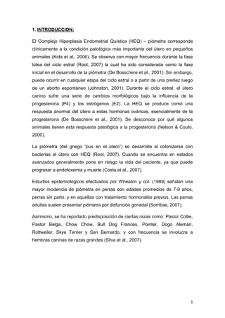 1
1. INTRODUCCION:
El Complejo Hiperplasia Endometrial Quística (HEQ) – piómetra corresponde
clínicamente a la condición patológica más importante del útero en pequeños
animales (Kida et al., 2006). Se observa con mayor frecuencia durante la fase
lútea del ciclo estral (Root, 2007) la cual ha sido considerada como la fase
inicial en el desarrollo de la piómetra (De Bosschere et al., 2001). Sin embargo,
puede ocurrir en cualquier etapa del ciclo estral o a partir de una preñez luego
de un aborto espontáneo (Johnston, 2001). Durante el ciclo estral, el útero
canino sufre una serie de cambios morfológicos bajo la influencia de la
progesterona (P4) y los estrógenos (E2). La HEQ se produce como una
respuesta anormal del útero a estas hormonas ováricas, esencialmente de la
progesterona (De Bosschere et al., 2001). Se desconoce por qué algunos
animales tienen esta respuesta patológica a la progesterona (Nelson & Couto,
2000).
La piómetra (del griego “pus en el útero”) se desarrolla al colonizarse con
bacterias el útero con HEQ (Root, 2007). Cuando se encuentra en estados
avanzados generalmente pone en riesgo la vida del paciente, ya que puede
progresar a endotoxemia y muerte (Costa et al., 2007).
Estudios epidemiológicos efectuados por Wheaton y col. (1989) señalan una
mayor incidencia de piómetra en perras con edades promedios de 7-9 años,
perras sin parto, y en aquellas con tratamiento hormonales previos. Las perras
adultas suelen presentar piómetra por disfunción gonadal (Sorribas, 2007).
Asimismo, se ha reportado predisposición de ciertas razas como: Pastor Collie,
Pastor Belga, Chow Chow, Bull Dog Francés, Pointer, Dogo Alemán,
Rottweiler, Skye Terrier y San Bernardo, y con frecuencia se involucra a
hembras caninas de razas grandes (Silva et al., 2007).
 