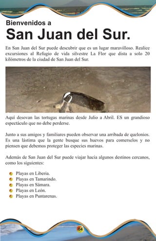 En San Juan del Sur puede descubrir que es un lugar maravilloso. Realice
excursiones al Refugio de vida silvestre La Flor ...