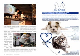 114 Bсе по-русски - Vse po russki Vse po russki - Bсе по-русски 115
– ящики пива высотой в собственный рост. Плюс –
ваучеры на обед в одном из ресторанов-участников.
Давно пора
	 Провинция Аликанте, начитывающая
18 тысяч ресторанов и 9 звезд Мишлена –
заметный «игрок» гастрономического бизнеса
Испании. В районе Коста
Бланки производится
несколько продуктов с
контролем подлинности
происхождения, а
ее вина завоевали
множество премий.
Давно стало понятно,
что наш регион давно
нуждается в собственной
г а с т р о н о м и ч е с к о й
выставке.
	 Именно поэтому на
открытие «ГастроАликанте»
и съехались множество
VIP-гостей со всего
региона. Так, президент
регионального Совета
Аликанте Луиза Пастор,
открывшая выставку,
призвала объединить
и показать лучшие
кулинарные традиции
региона. Пастор подчеркнула, что «район Аликанте
обладает большим гастрономическим потенциалом,
привлекающих туристов со всего мира. Большинство
гостей нашего региона – как испанцы, так и из
других стран – предпочитают посещать рестораны
с оригинальной кухней. И мы вполне можем им это
предложить». Еще один важный гость, генеральный
директор Ассоциации Туризма округа Валенсия
Себастьян Фернандез, также заявил, что «события
вроде «ГастроАликанте» доказывают стабильность
ресторанного сектора и делают аликантскую кухню
известной за пределами региона». Мария Хосе
Сан Роман, президент региональной ассоциации
гостиничного бизнеса Аликанте (APEHA), также
поддержала собравшихся, сказав, что «мы верим в
потенциал гостиничного сектора», и что «именно
гастрономия поможет аликантскому региону занять
достойное место на испанском рынке».
 