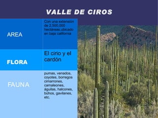 VALLE DE CIROS
        Con una extensión
        de 2,500,000
        hectáreas.ubicado
AREA    en baja california




        El cirio y el
FLORA   cardón

        pumas, venados,
        coyotes, borregos
        cimarrones,
FAUNA   camaleones,
        águilas, halcones,
        búhos, gavilanes,
        etc.
 