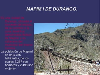 MAPIM I DE DURANGO.
Es una ciudad de
   Durango, ubicada al
   noroeste del estado,
   da su nombre a la
   zona desértica
   denominada Bolsón
   de Mapimí y es
   cabecera del
   municipio del mismo
   nombre..
La población de Mapimí
   es de 4,765
   habitantes, de los
   cuales 2,267 son
   hombres y 2,498 son
   mujeres.
 