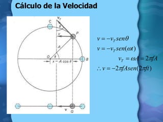 Cálculo de la Velocidad 