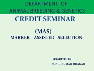 DEPARTMENT OF
ANIMAL BREEDING & GENETICS
(MAS)
MARKER ASSISTED SELECTION
SUBMITTED BY :
SUNIL KUMAR BHAKAR
 